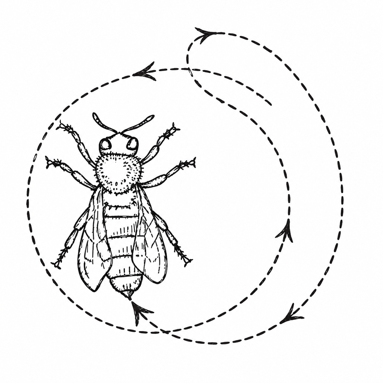 edition image